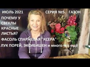Июль 2021 серия №5. Почему у свеклы листья красные? Газон, клубника, лук и много что ещё)