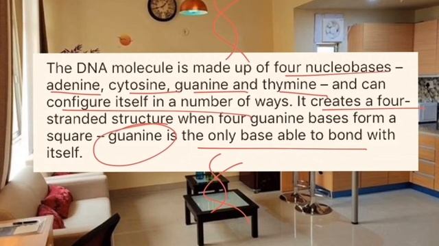 Quadruple Stranded DNA 🧬 now in healthy Living Cells and Fully Funded Rhodes Scholarship in Oxford