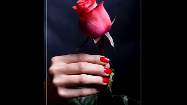 Чёрная вуаль. смотреть онлайн