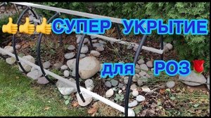 ☃️👍СУПЕР УКРЫТИЕ для РОЗ🌹🌹🌹 посадка КРОКУСОВ на газон🌸 продолжение осенней уборки сада 🧹