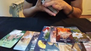 Ваша соперница сегодня