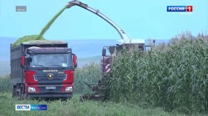 Фермеры смогут брать в аренду большие площади