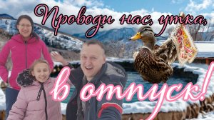Автономное содержание уток, на время отпуска.