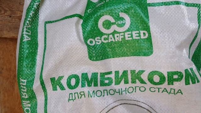 Козлята Лаззат, Шиели, Кызылорда. Анвар Рустемов +77017224679 смотреть онлайн