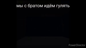 мы с братом идём гулять