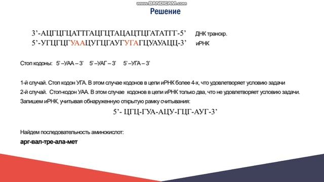 Решение зада по цитологии на применение знаний в новой ситуации