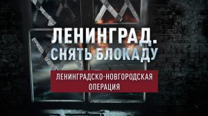 Ленинградско-Новгородская операция