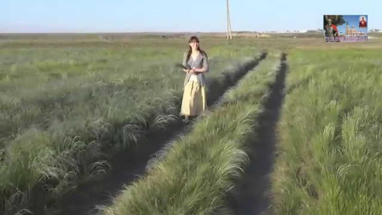 Симакова Татьяна (Студия Православной Музыки п.Степное) - "Богородица" (Н. Куприянова) смотреть онлайн