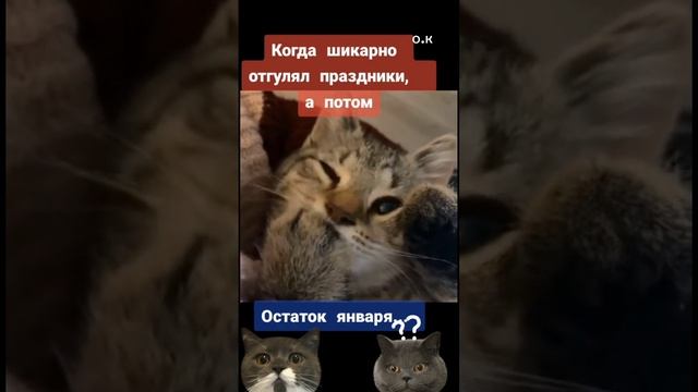 #ПОРА ОПОХМЕДИТЬСЯ🥂🧚 смотреть онлайн