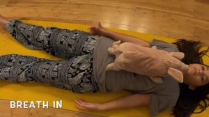 Stuffed Animal Breathing