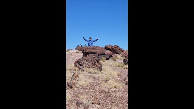Surprise! Dr. Brian Curtice Pops Up at the Petrified Forest