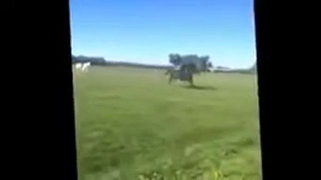 ПРИКОЛ смотреть онлайн