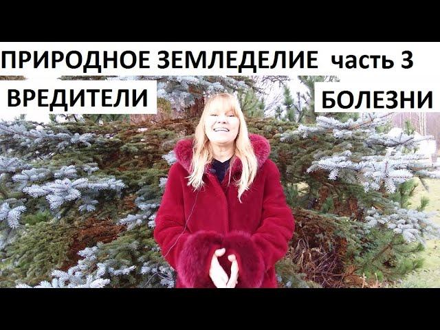 Природное земледелие часть №3 вредители и болезни.