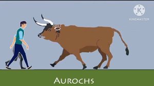 The size Cenozoic Era Size Comparison in 2024 @AnimalsComparison @ParaceraOfficial338