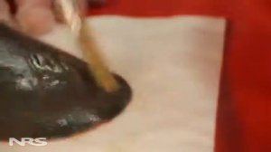 Clifton Hypalon Adhesive