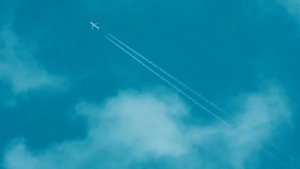 Nikon P950 sample videos