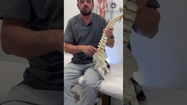 Мифы в мануальной терапии