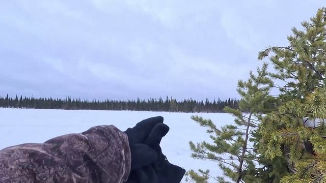 Чудесное болото, все гуси слетаются к нам! Охота на гуся смотреть онлайн