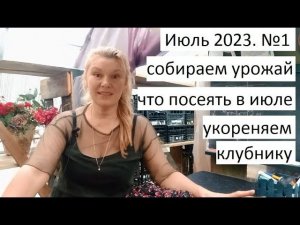 Июль 2023 серия №1. Размножение клубники. Что посею в июле. Собираем урожай.