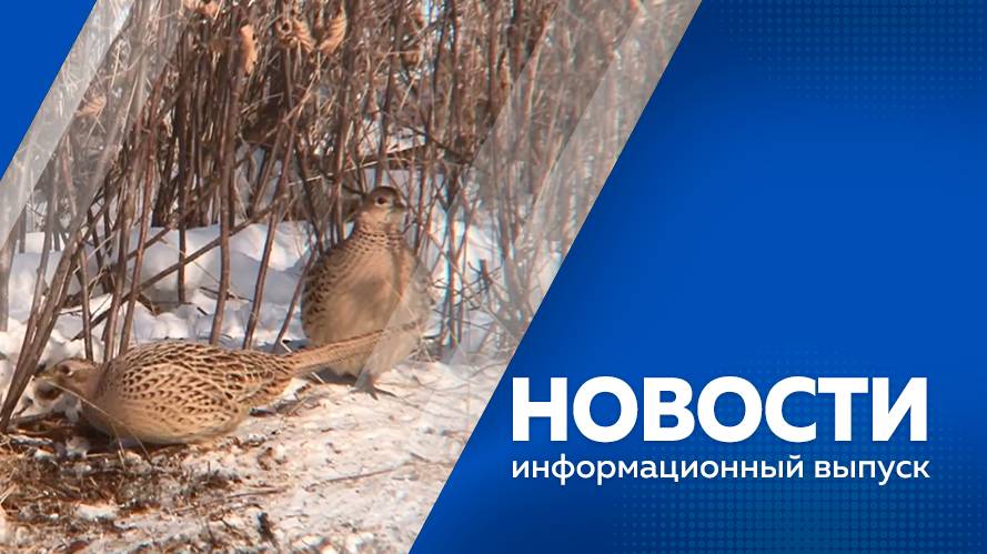 Новости 14.01.2025г