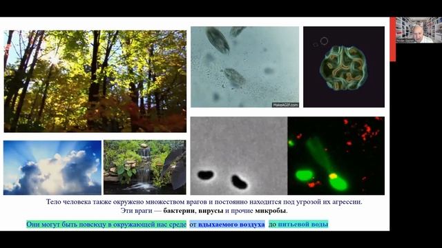 Анонс мастер Класса - Загадочная жизнь внутри нас - Иммунная система