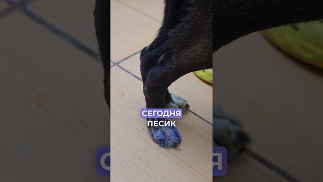 Боль и страх от пережитого… | Джек