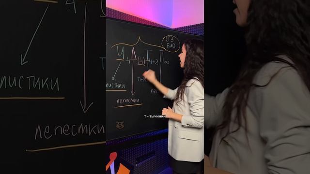 ботаника #жаннаказанская #умскул #биологияегэ #биология