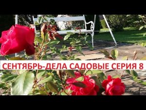 Сентябрь - дела садовые серия № 8.