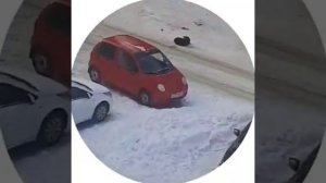 Собаки напали на ребенка
