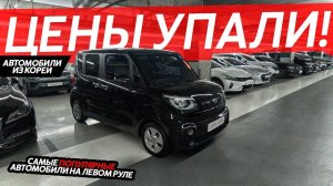 БЮДЖЕТНЫЕ АВТО ИЗ КОРЕИ ЦЕНЫ НАЧАЛИ ПАДАТЬ⁉️ПОКУПАЕМ И ВЕЗЕМ В РОССИЮ SPORTAGE❗️STARIA❗️RAY