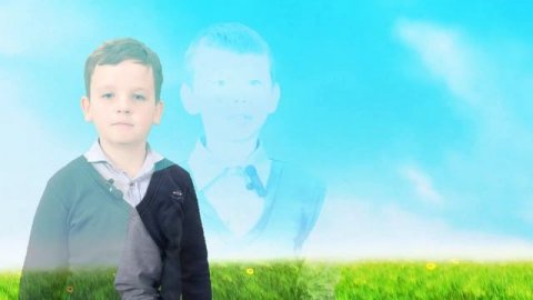 Насекомые весной