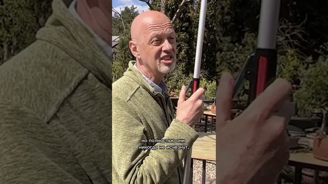 Что делать с "волчками" у яблони?