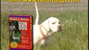 Dog video - gun dog training video