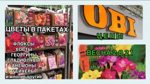 Цветы в пакетах ОБИ ЦЕНЫ