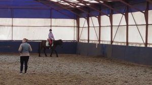 ВЛОГ С КОНЮШНИ | ТРЕНИРОВКА НА ДАРХАНЕ 🤎