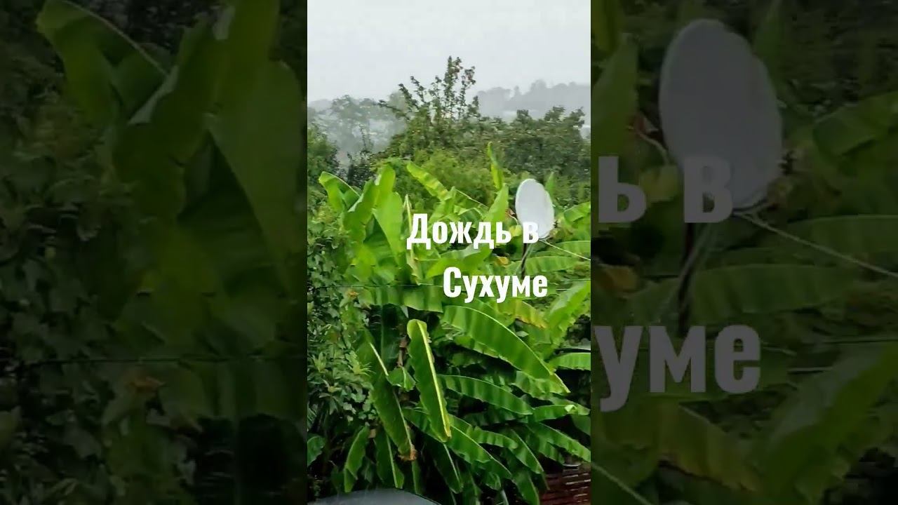 14 сентября 2022 г. смотреть онлайн