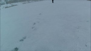 РЫБОЛОВ  ИВАНОВИЧ . В ПОИСКАХ РЫБЫ...