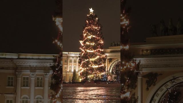 Главную новогоднюю елку Санкт-Петербурга начали демонтировать