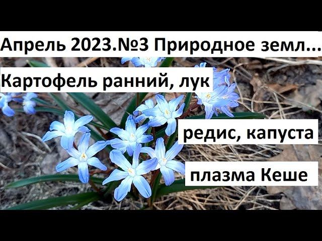 Апрель 2023. №3 Природное земледелие.