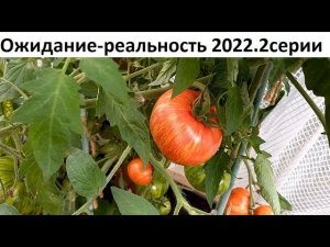 Ожидание - реальность 2022 Две серии.