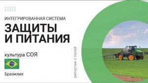 Репортаж с полей. Интенсивные технологии возделывания сахарного тростника в Бразилии