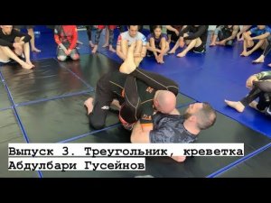 Семинар Абдулбари Гусейнова | Треугольник, креветка. Третий выпуск