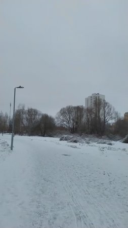 14.1.25 Москва, Южное Бутово