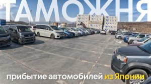 ЗАБИРАЕМ СРАЗУ 100 АВТОМОБИЛЕЙ С ТАМОЖНИТАКОГО ЕЩЕ НЕ БЫЛОАВТОМОБИЛИ ОТ 700 ТЫСЯЧ❗️