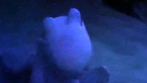 Беззубик и Дневная фурия клип ¶¶the other side¶¶