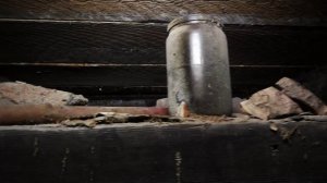 МУЗЕЙ-УСАДЬБА СУРИКОВА. ВИД СНИЗУ