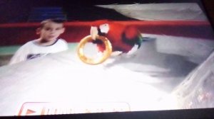 Дрессировка попугаев ара в цирке. Попугайчики ара совершают настоящие  трюки на манеже цирка.