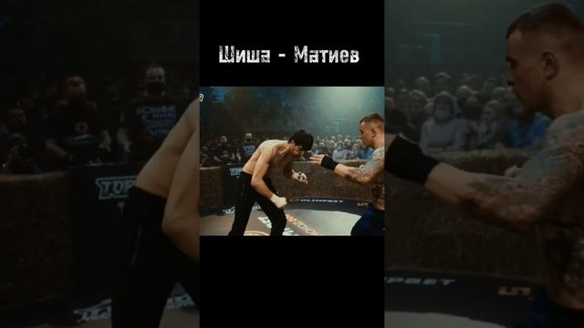 Top dog 12 | Шиша - Матиев | Топ дог 12 | Кулачные бои | #boxing #fight #knockout #topdog