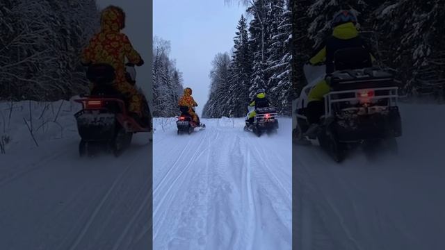 Добро пожаловать на "Волчью тропу" !