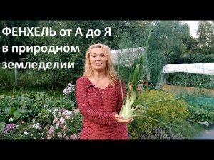 Фенхель от А до Я в природном земледелии.